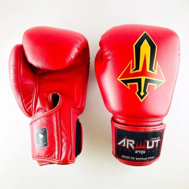 ARWUT MUAY THAI BOXING GLOVES BG1 - Image 7